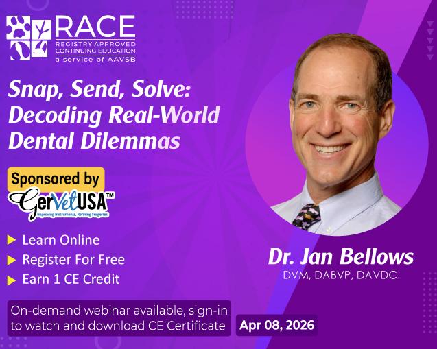 Snap, Send, Solve: Decoding Real-World Dental Dilemmas